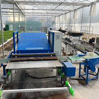 Serre agricole multi-travées HANGDI avec couverture en film, système logistique automatique, pour semis, vente directe usine
