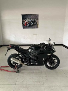 Xiao Ren Zhe 250 - Moto d'<span class=keywords><strong>occasion</strong></span> à deux roues à essence, finition d'origine, garantie de qualité - Product Image 2