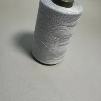 Fil à coudre teint en polyester 100% haute ténacité, faible rétrécissement, résistant aux hautes températures, Ne 50/2, pour point de croix et broderie