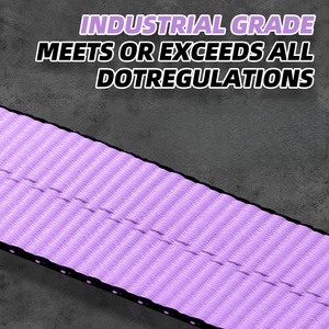 <span class=keywords><strong>Correa</strong></span> de Amarre Retráctil Automática de 1 Pulgada (25 mm), 1000 kg, Resistente, de Polipropileno y Poliéster, con Certificación CE, con Ganchos J/S - Product Image 5