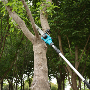 2-in-1 Cordless Pole Chainsaw Hedge Trimmer 21V Brushless 12 Inch Battery <b>Saw</b> Wholesale CE OEM Supplier S-HSQ12 2-in-1. One Tool - Product Image 6