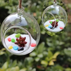 Goldfish Glass Ball Suspensão Ecosfera Aquário Fish Tank Flower Plant Vaso Mesa Bowl Fish Supplies Acessórios - Product Image 2