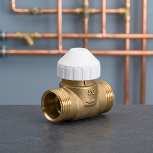 Corps de vanne à filigrane fileté bidirectionnel Watts WT-21311P pour le contrôle de l'eau des systèmes CVC KVS4.5 PN16 DN25 DC 24V/AC 230V OEM - Product Image 3