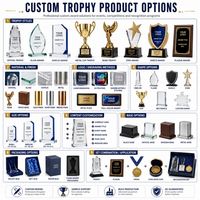 Trophées de la victoire en gros avec logo personnalisé, couleur et forme sur mesure, pour compétitions scolaires, ligues sportives, prix et cadeaux