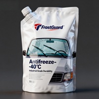 Sac d'emballage liquide de qualité alimentaire, résistant au froid, pour aérosol chimique, antigel, liquide de lavage, avec bec verseur, 3 L