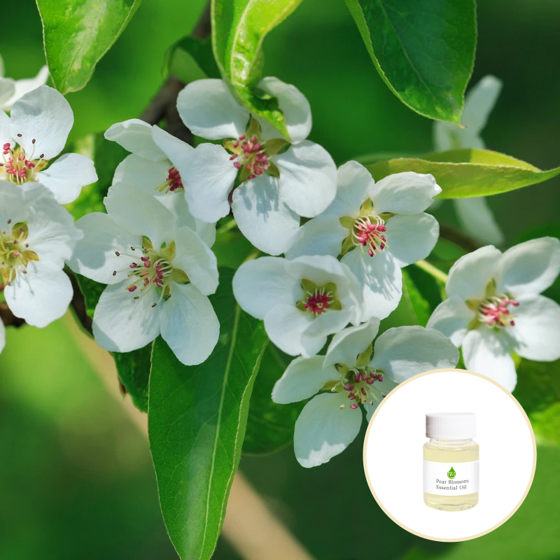 OEM ODM Service Pure Organic Essential Oils Pear Blossom Fragrance Oil