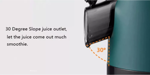 Mokkom yavaş sıkacağı kolay kullanım yüksek verimli ticari portakal sıkacağı ekstraktör makinesi - Product Image 3