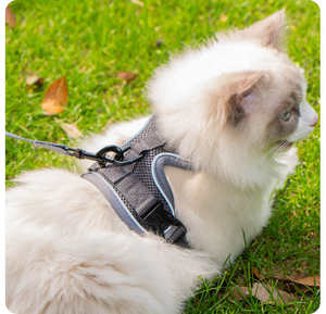 安全な屋外トレーニングとウォーキングのための頑丈なナイロンスカーフを備えた戦術的な犬用ハーネス - Product Image 6