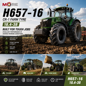 Nouvelle chambre à air pour pneu agricole 18.4-38 12PR CR-1 41mm à bande de roulement pour tracteur agricole et culture inter-rangs - Product Image 2