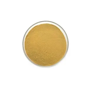 Reines natürliches organisches Bergamotte extrakt pulver Zitrus-Bergamotte extrakt pulver