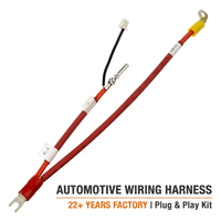 Arnés de Cables de Alta Calidad, Arnés de Cables con Aislamiento de PVC Personalizado, Fábrica OEM ODM para Aplicaciones Electrónicas