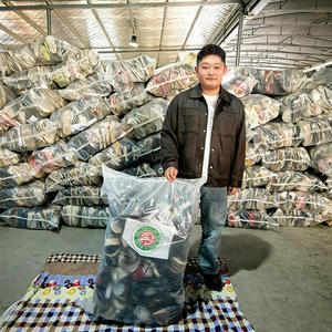 Proveedor verificado, fábrica, clase A, <span class=keywords><strong>precio</strong></span> más barato en kg, deporte al aire libre, corte de <span class=keywords><strong>tacón</strong></span> bajo, caminar, correr, zapatos usados en pacas mixtas - Product Image 2