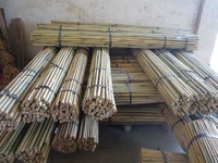 Tongkat Bambu Antiseptik Warna Kuning Muda 213cm 22-24mm untuk Penyangga Bunga & Tanaman di Kebun