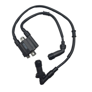 Bobine d'allumage Jilong 3392 monocylindre pour moto Benelli Mini Dragon, pièce de rechange - Product Image 1
