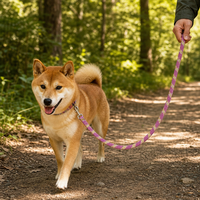 Sangle en sangle élastique tressée diagonale en fil mélangé personnalisé pour laisse de chien, collier pour animaux de compagnie, équipement de plein air, sangle de sac à dos – Usine OEM ODM