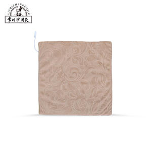 Coussin chauffant électrique Li Shizhen Guoji Qi Ai, alimenté par USB, pour massage et bien-être, idéal pour le bureau et la maison - Product Image 1