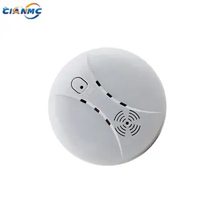 Thiết Bị Phát Hiện Khói Quang Điện 9V Báo Động Carbon Monoxide Tại Nhà IOT Wifi