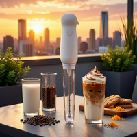 Mousseur à lait multifonctionnel portatif, batteur à œufs électrique, fouet en acier inoxydable 304, agitateur à café, mini-mélangeur pour la pâtisserie, personnalisable