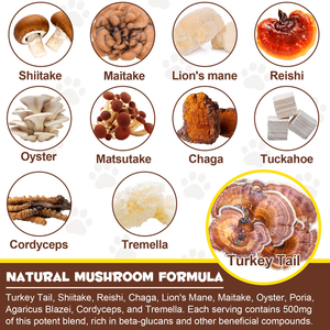 कुत्तों के लिए उच्च फाइबर कद्दू मीठा आलू पाउडर भोजन टॉपर का समर्थन करता है पेट के मिश्रण से पेट के पानी को राहत देता है - Product Image 4