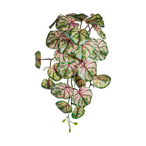 Makoto Mori Artificial Green Plants Vines 100cm 200cm Wall Mounted Decorations <b>Plastic</b> <b>Sheet</b> Silk Flower Set - Product Image 5