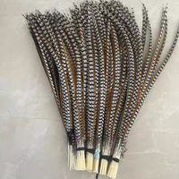 Plumas de queue de faisan longs Reeves Plumes de queue de faisan naturelles pour carnaval Chapeaux de samba Costumes de danse en stock