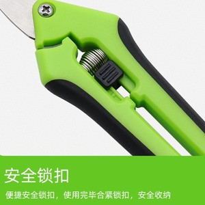 Jolies cisailles de jardinage en acier inoxydable à tête courbée et ressort intégré pour tailler et couper - Product Image 5