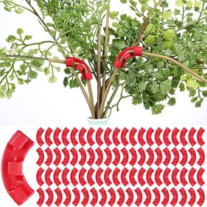 Clips Reutilizables para Doblar Plantas a 90 Grados, Soporte para Entrenamiento de Tallos con Bajo Estrés (LST) - Product Image 6