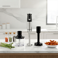 Mixeur Plongeant Portable RSC Mini Automatique en Acier Inoxydable Rechargeable avec Cordon, Mixeur à Main Compact HB019