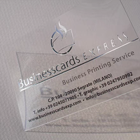 Cartes de visite transparentes personnalisées en PVC givré avec impression offset et marquage à chaud, logo personnalisé