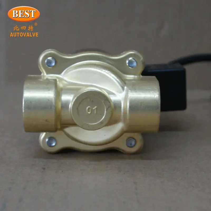 Z101 cuộn dây 220V AC 12V 24V DC nước 2 cách 3/8 1/4 NC Brass inch Điều khiển cơ hoành thép không gỉ solenoid valve