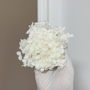 Ortensie Essiccate Naturali in Confezione da 10g, Fiori Secchi con Foglie Piccole per Decorazioni Fai-da-Te, Matrimoni e Coriandoli - Product Image 5