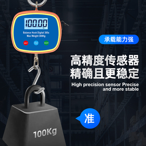 Échelle de grue électronique <span class=keywords><strong>GYS</strong></span> Ocs de haute qualité Mesure de compression Échelle de grue électronique industrielle - Product Image 3