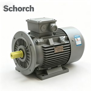 Moteur à induction triphasé en gros des marques Schorch, ATB, BALDOR, VEM, 2P, 4P, 6P, 8P, 10P, 2HP-200HP - Product Image 1