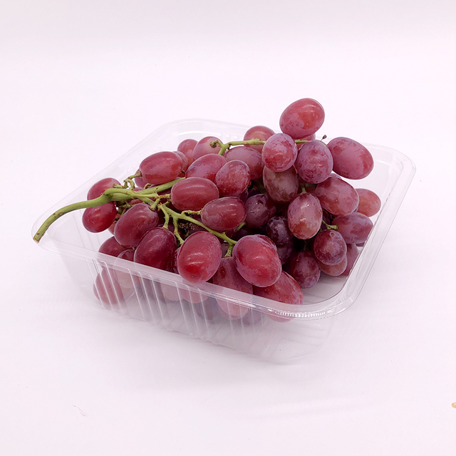 Eco Friendly PET Plastic Clear Packaging Vegetable Tray Fruit Cherry Tomato Greens Plastic Tray