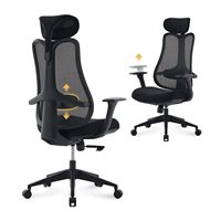 Chaise de bureau ergonomique réglable en maille pour PDG, confortable et moderne, à prix abordable, directement de l'usine de mobilier de bureau.