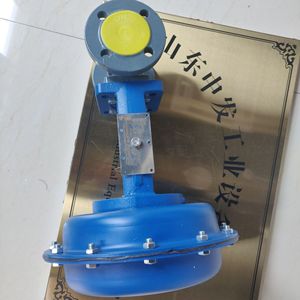 Válvula de Control Hofmann M802611A DN25 PN25 de Cierre por Aire para Uso Industrial - Product Image 3