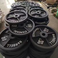 Juego de Discos de Pesas de Hierro Fundido Comerciales ZY, Juego de Discos Profesionales para Barra, para Entrenamiento de Fuerza, Levantamiento de Pesas, Gimnasio de Alta Resistencia