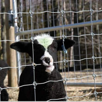 Clôture pour bétail/Clôture pour cerfs/Clôture de champ en acier galvanisé à chaud de 1,8 m de haut à nœuds fixes à vendre