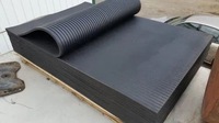Revêtement de sol stable pour l'agriculture et tapis antidérapant pour vaches, passerelle en caoutchouc durable pour les vaches
