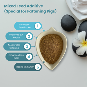 Probiótico de Alto Rendimiento para Engorde de Cerdos, Mejora la Tasa de Conversión de Alimento, Aumenta la <span class=keywords><strong>Porcentaje</strong></span> de Carne Magra, Mejora el Sabor de la Carne, Salud Intestinal - Product Image 6
