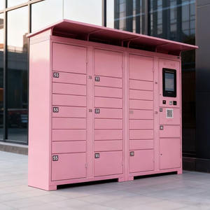 Boîtes de livraison intelligentes de <span class=keywords><strong>colis</strong></span> de collecte de système libre-service rose de protection solaire de communauté extérieure de fournisseur - Product Image 2