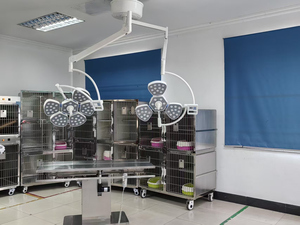 Analyseur d'hématologie portable OSCAT EX-BHA-3000 à 5 parties entièrement automatisé pour cliniques <span class=keywords><strong>v</strong></span>étérinaires et usage canin - Product Image 4