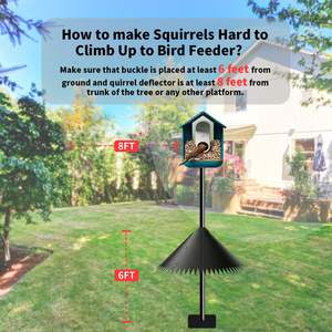 2025, - Product Image 4