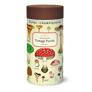 Maceta cilíndrica ecológica para interiores/exteriores, estilo granja, para principiantes, hombres y <span class=keywords><strong>mujeres</strong></span>, para suculentas, cactus, flores, plantas, hogar y <span class=keywords><strong>jardín</strong></span> - Product Image 6