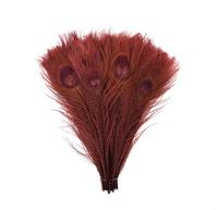 Plumes de paon à œil enfilé naturel à vendre fête carnaval maison mariage pièce maîtresse noël Vase vacances décor bricolage artisanat Floral