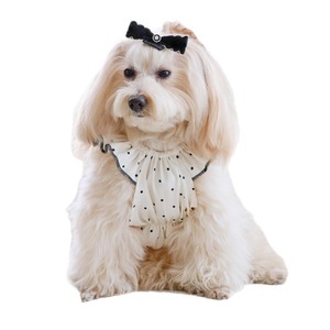 Cute Polka Dot <b>Dog</b> Dress With Lace Trim <b>For</b> <b>Small</b> Pets Breathable Sleeveless Polyester Pet <b>Clothes</b> - Product Image 4