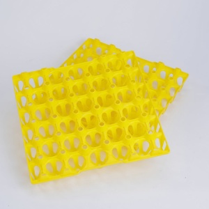 Vente en gros Chuangduo Plateau de transport d'oeufs en plastique coloré 30 cellules pour poulet Nouvelle condition Type automatique Haute productivité - Product Image 3