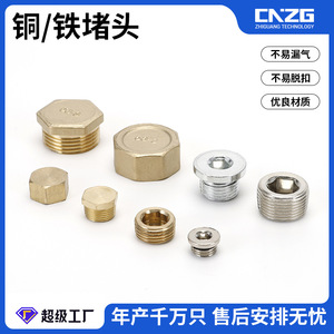 Bouchons et douilles filetés hexagonaux en fer et cuivre nickelés 1/2, 3/4, 1 pouce avec capuchons d'extrémité - Product Image 5