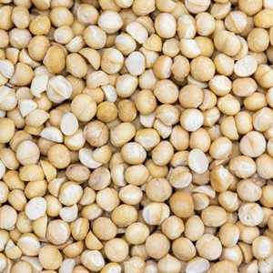 ถั่วแมคคาเดเมียแบบบีบมือมีม OEM/ODM ถั่วแมคคาเดเมียแบบแห้งคั่วแบบไม่มีเปลือกรสหวานอร่อยขนมขบเคี้ยวผลไม้อบแห้งจากเวียดนามขายส่ง - Product Image 2