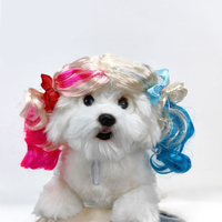 Perruques pour animaux de compagnie en cheveux synthétiques, style Halloween mignon et original, avec petites tresses, coiffure bob et ondulations, pour chats et chiens
